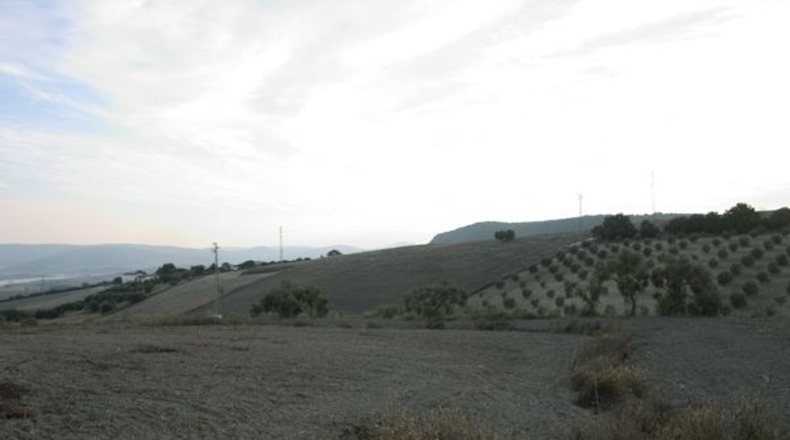Cádiz - Arcos de la Frontera - 12450m2