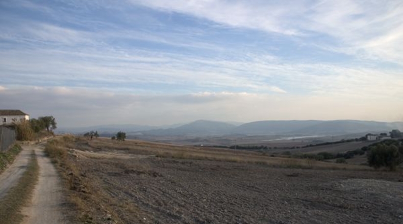 Cádiz - Arcos de la Frontera - 12450m2