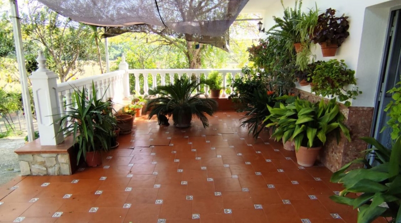 Cádiz - Arcos de la Frontera - 25000m2
