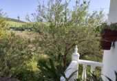 Finca rústica en venta en Arcos de la Frontera ref: TR251595 foto