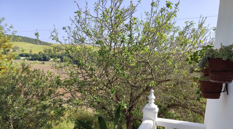 Cádiz - Arcos de la Frontera - 25000m2