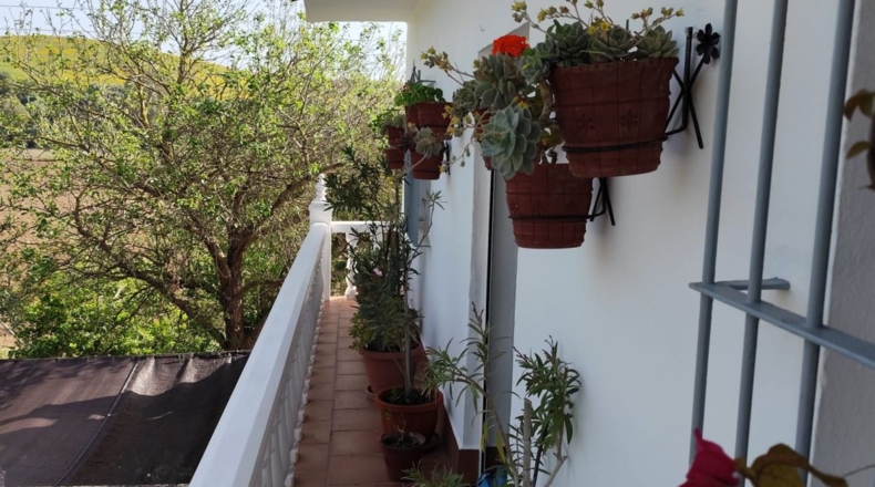 Cádiz - Arcos de la Frontera - 25000m2