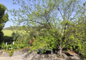Finca rústica en venta en Arcos de la Frontera ref: TR251595 foto