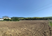 Finca rústica en venta en Arcos de la Frontera ref: TR251595 foto