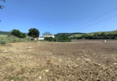 Finca rústica en venta en Arcos de la Frontera ref: TR251595 foto
