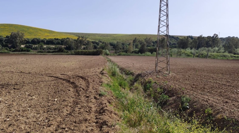 Cádiz - Arcos de la Frontera - 25000m2