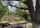 Finca rústica en venta en Arcos de la Frontera ref: TR251595 foto