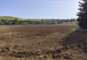 Finca rústica en venta en Arcos de la Frontera ref: TR251595 foto