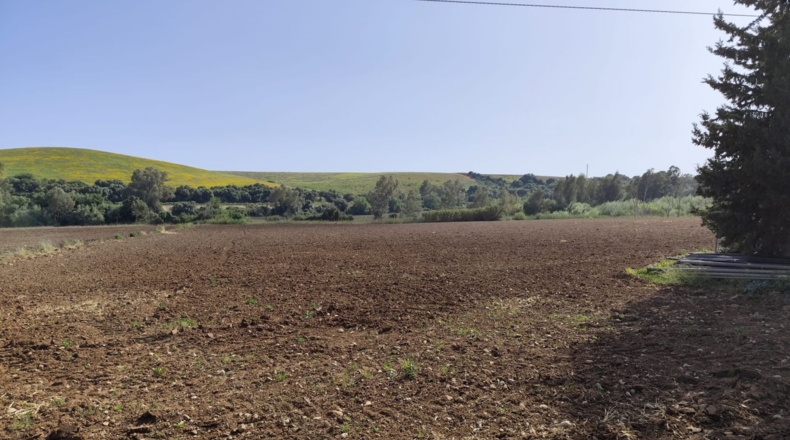 Cádiz - Arcos de la Frontera - 25000m2