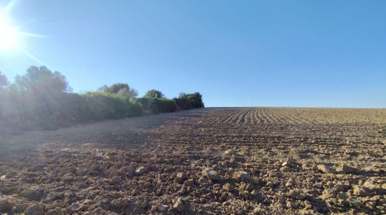 Cadiz - Arcos de la Frontera - 60000m2