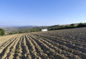 Finca rústica en venda a Arcos de la Frontera ref.: TR338137 foto