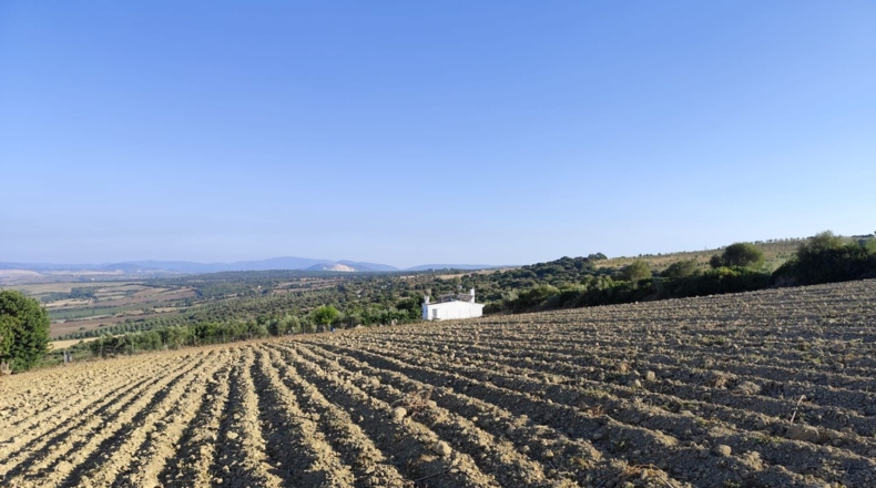 Cadiz - Arcos de la Frontera - 60000m2