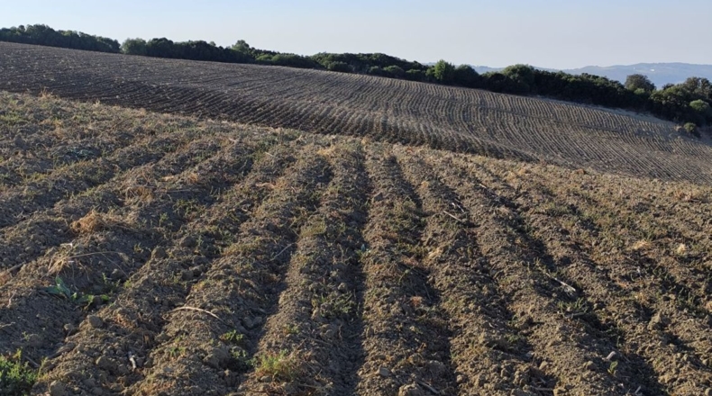 Cadiz - Arcos de la Frontera - 60000m2