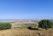 Finca rústica en venda a Arcos de la Frontera ref.: TR338137 foto