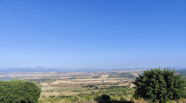 Cadiz - Arcos de la Frontera - 60000m2