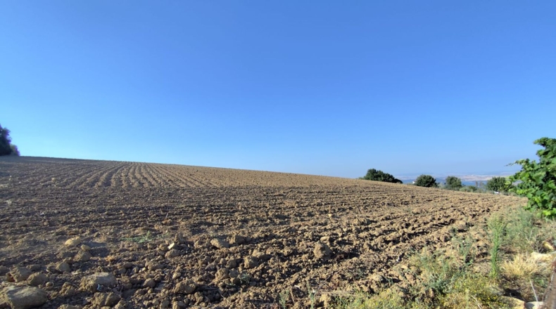 Cadiz - Arcos de la Frontera - 60000m2