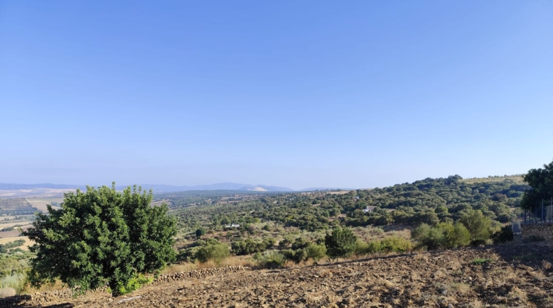 Cadiz - Arcos de la Frontera - 60000m2