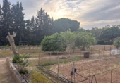 Rural estate for sale in Arcos de la Frontera ref: TR396180 photo