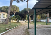 Rural estate for sale in Arcos de la Frontera ref: TR396180 photo