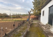 Rural estate for sale in Arcos de la Frontera ref: TR396180 photo