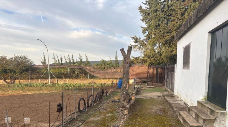 Cadiz - Arcos de la Frontera - 9000m2