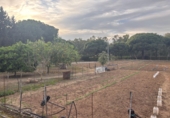 Rural estate for sale in Arcos de la Frontera ref: TR396180 photo