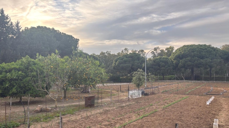 Cadiz - Arcos de la Frontera - 9000m2
