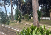 Rural estate for sale in Arcos de la Frontera ref: TR396180 photo