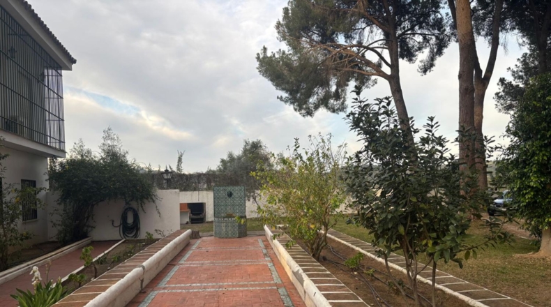 Cadiz - Arcos de la Frontera - 9000m2