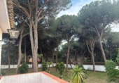 Rural estate for sale in Arcos de la Frontera ref: TR396180 photo