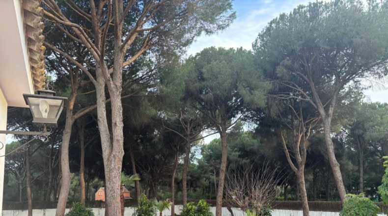 Cadiz - Arcos de la Frontera - 9000m2