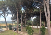 Rural estate for sale in Arcos de la Frontera ref: TR396180 photo