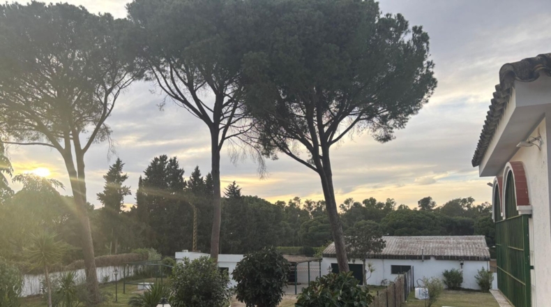 Cadiz - Arcos de la Frontera - 9000m2