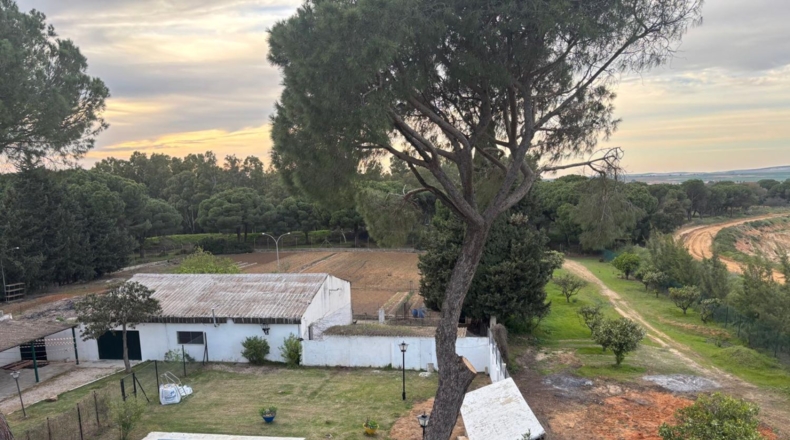 Cadiz - Arcos de la Frontera - 9000m2