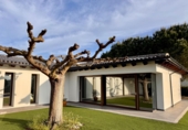 Chalet independiente con terreno en venta en Borriol ref: TR235432 foto