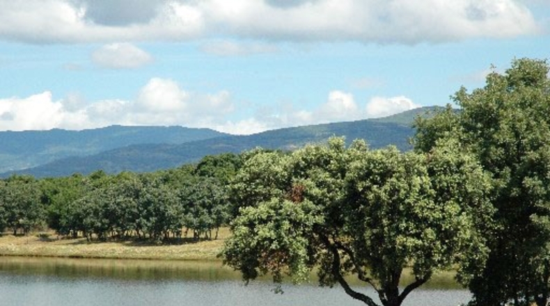 Cáceres - Pasarón de la Vera - 200000m2