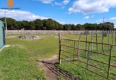 Rural estate for sale in El Escorial ref: TR306743 photo