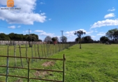Rural estate for sale in El Escorial ref: TR306743 photo