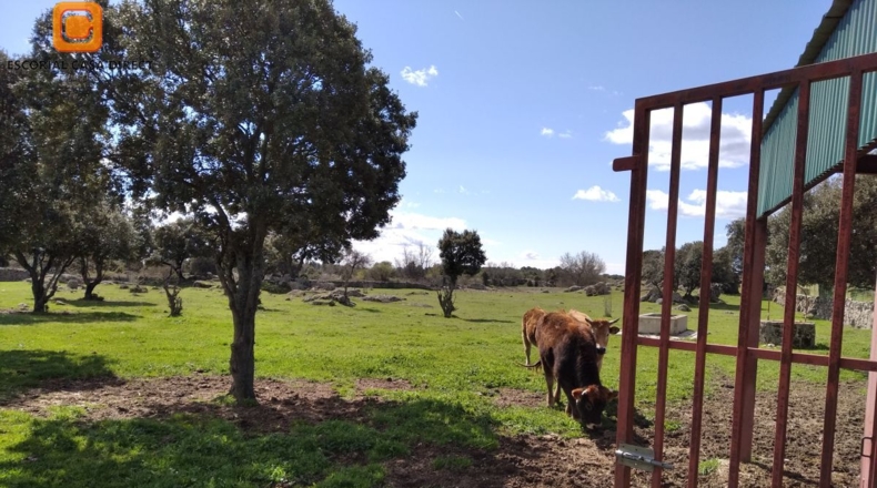 Community of Madrid - El Escorial - 12000m2