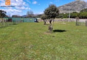 Rural estate for sale in El Escorial ref: TR306743 photo