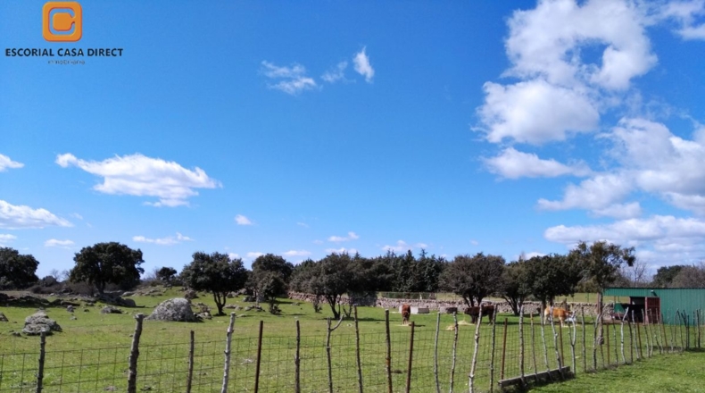 Community of Madrid - El Escorial - 12000m2