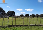 Rural estate for sale in El Escorial ref: TR306743 photo