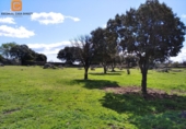 Rural estate for sale in El Escorial ref: TR306743 photo