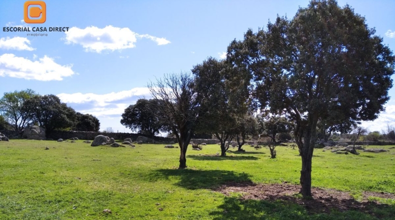Community of Madrid - El Escorial - 12000m2