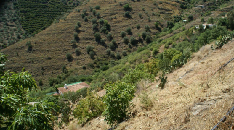 Málaga - Torrox - 6150m2