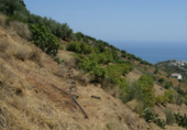 Земля на продажу у города Torrox. Фото