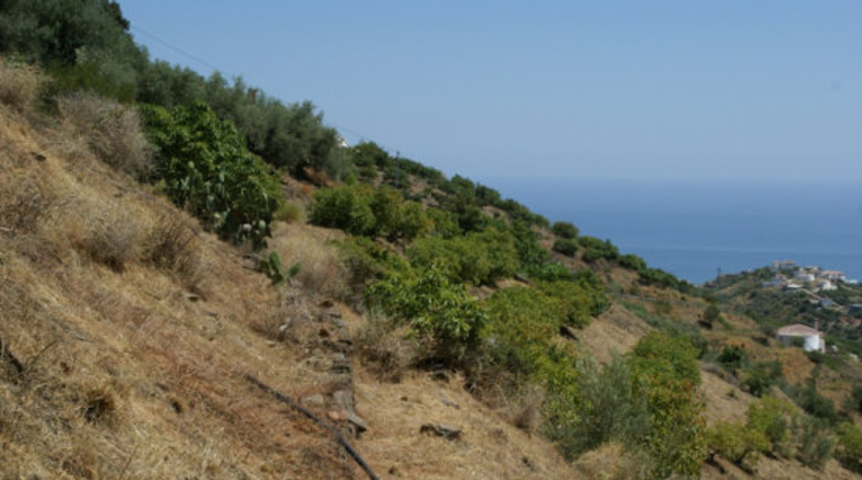 Málaga - Torrox - 6150m2