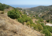 Земля на продажу у города Torrox. Фото