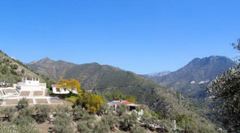 Málaga - Cómpeta - 8000m2