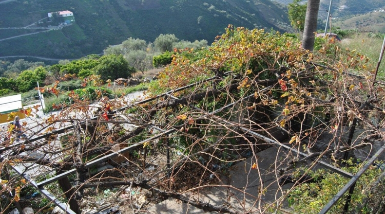 Málaga - Cómpeta - 273m2